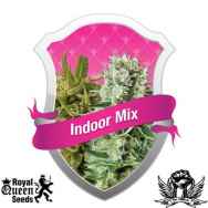 Royal Queen Seeds Indoor Mix